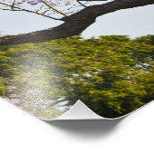 Blühende Jacaranda-Bäume im neuen Bauernpark, Fotodruck (Ecke)