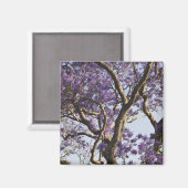 Blühende Jacaranda-Bäume im neuen Bauernpark, Magnet (Vorderseite/Rückseite)