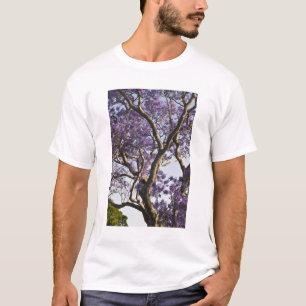 Blühende Jacaranda-Bäume im New Farm Park, T-Shirt