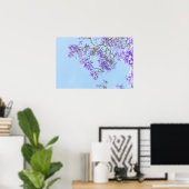 Blühende Jacaranda-Baumzweige Poster (Heimbüro)