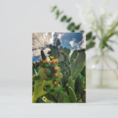Blühende Kakteen Postkarte (Stehend Vorderseite)