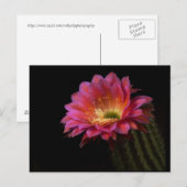 Blühende Kaktus-Freude Postkarte (Vorne/Hinten)