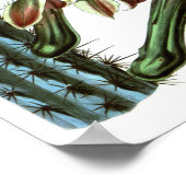 Blühende Kaktus Nr. 1 Vintage Naturgeschichte Poster (Ecke)