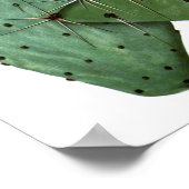 Blühende Kaktus Nr. 8 Vintage Naturgeschichte Poster (Ecke)