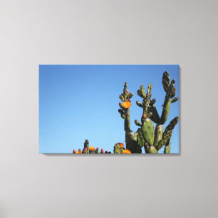 Blühende Kaktus-Pflanze Stretched Canvas Print Leinwanddruck