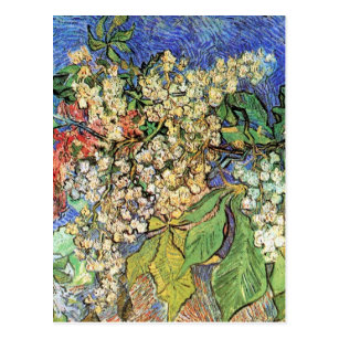 Vincent Van Gogh Postkarten | Zazzle.de