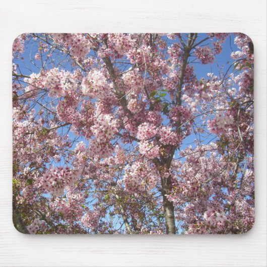 Blühende Kirschbäume Mousepad (Vorne)