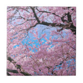 Blühende Kirschblüten Fliese (Vorderseite)