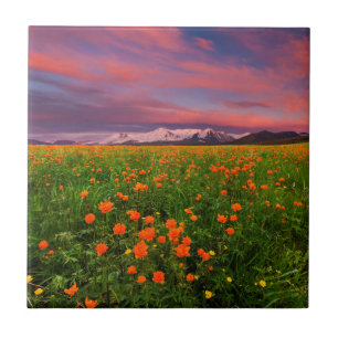 Blühende Kugel-Blume Fliese