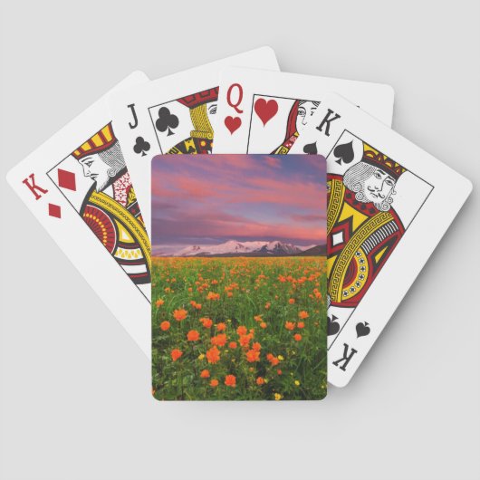 Blühende Kugel-Blume Spielkarten (Rückseite)
