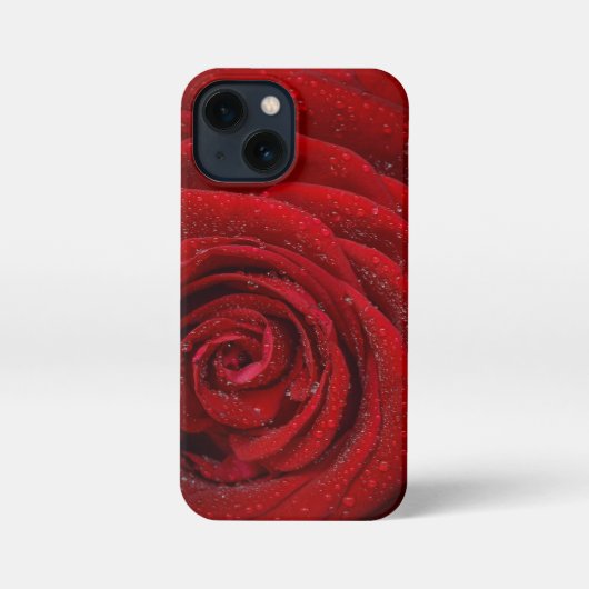 Blühende Leidenschaft: Rote Rose Elegance Telefonf iPhone Hülle (Rückseite)