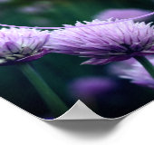 Blühende Lila Scallion Rahmen hinzufügen Ihr eigen Poster (Ecke)