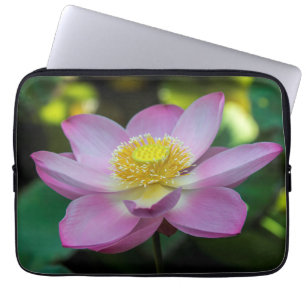 Blühende Lotusblume, Indonesien Laptopschutzhülle