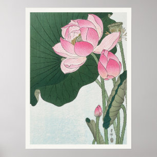 Blühende Lotusblumen Ohara Koson japanische Kunst Poster