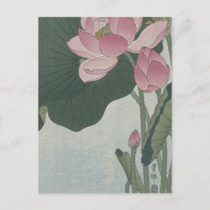 Blühende Lotusblumen von Ohara Koson Postkarte