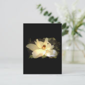 blühende Magnolia Postkarte (Stehend Vorderseite)
