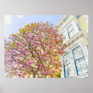 Blühende Magnolien am viktorianischen Haus Poster