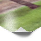 Blühende Magnolienbaume Fotodruck (Ecke)