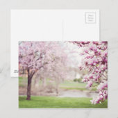 Blühende Magnolienbaume Postkarte (Vorne/Hinten)