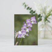 Blühende orchide Pflanze. Postkarte (Stehend Vorderseite)