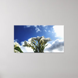 Blühende Plumeria gegen einen strahlenden Himmel Leinwanddruck