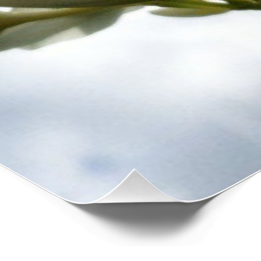 Blühende Plumeria gegen einen strahlenden Himmel Poster (Ecke)