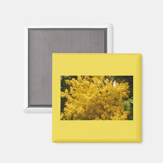 Blühende Pollen Magnet (Vorderseite/Rückseite)