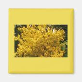 Blühende Pollen Magnet (Vorne)