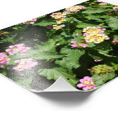 Blühende Romance Fotodruck (Ecke)