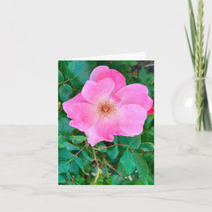Blühende Rosa Blume Geburtstagskarte Karte