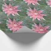 Blühende rosa Bromeliad Geschenk-Verpackung Geschenkpapier (Ecke)