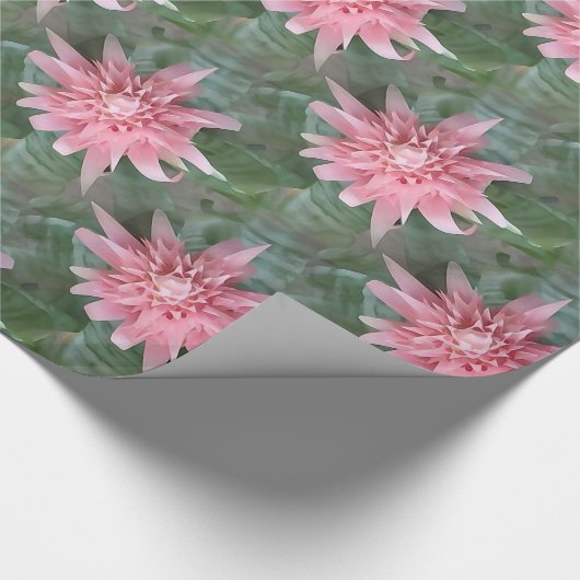 Blühende rosa Bromeliad Geschenk-Verpackung Geschenkpapier (Ecke)