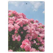 Blühende rosa Kaskade Klemmbrett (Rückseite)