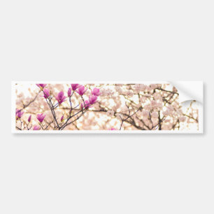 Blühende rosa Lila Magnolias-Frühlingsszene Blume Autoaufkleber