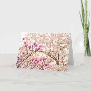 Blühende rosa Lila Magnolias-Frühlingsszene Blume Karte