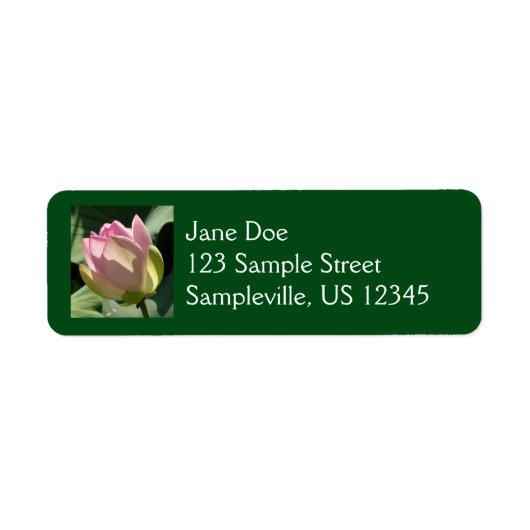 Blühende Rosa Lotus Blume Sommer (Vorne)