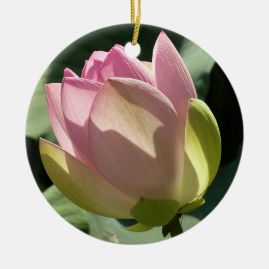 Blühende Rosa Lotus Blume Sommer Keramik Ornament (Vorne)