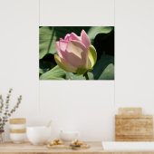 Blühende Rosa Lotus Blume Sommer Poster (Küche)