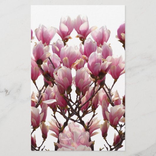 Blühende rosa Magnolias-Frühlingsstimmung in der B Briefpapier (Vorderseite)
