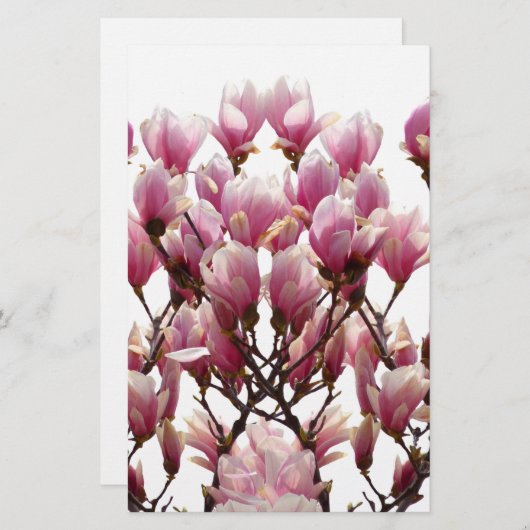 Blühende rosa Magnolias-Frühlingsstimmung in der B Briefpapier (Vorne/Hinten)