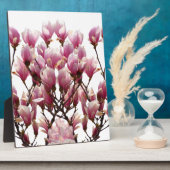 Blühende rosa Magnolias-Frühlingsstimmung in der B Fotoplatte (Seite)