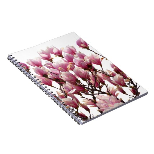 Blühende rosa Magnolias-Frühlingsstimmung in der B Notizblock (Rechte Seite)