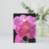 Blühende rosa Orchideen Postkarte (Stehend Vorderseite)