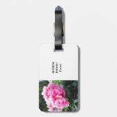Blühende rosa Peonies Gepäckanhänger (Rückseite vertikal)