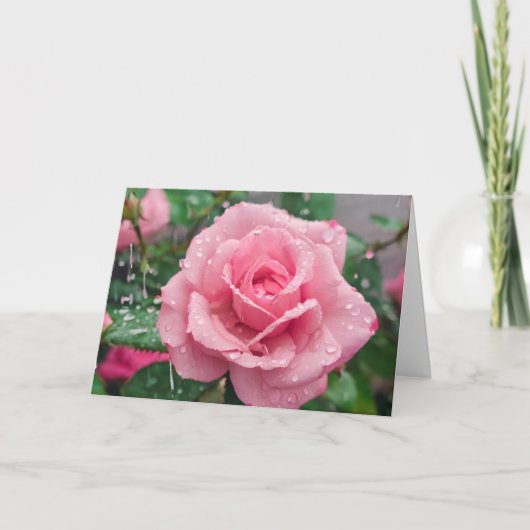 Blühende rosa Rose mit Regentropfen Karte (Vorderseite)