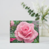Blühende rosa Rose mit Regentropfen Postkarte (Stehend Vorderseite)