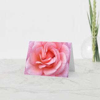 Blühende rosa Rose Notecard Karte