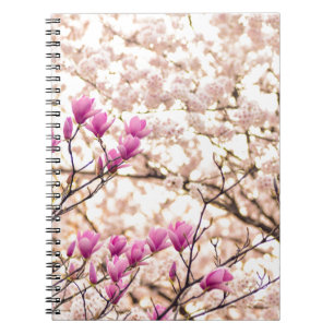 Blühende rosa violette Magnolien Frühlingsblume Notizblock