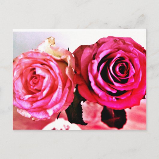 Blühende Rose Einladungspostkarte (Vorderseite)