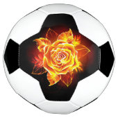 Blühende Rose Fußball (Gedreht)